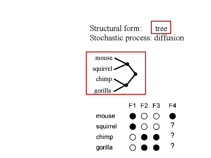 Structural form: tree Stochastic process: diffusion mouse squirrel chimp gorilla 
