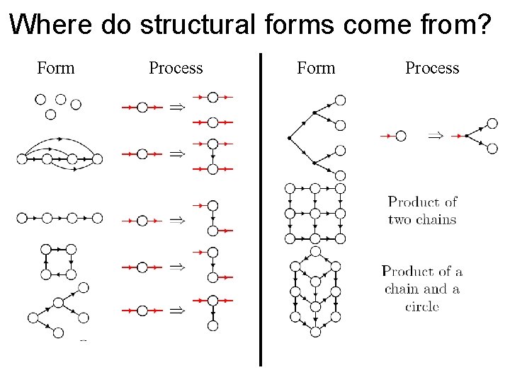 Where do structural forms come from? Form Process 
