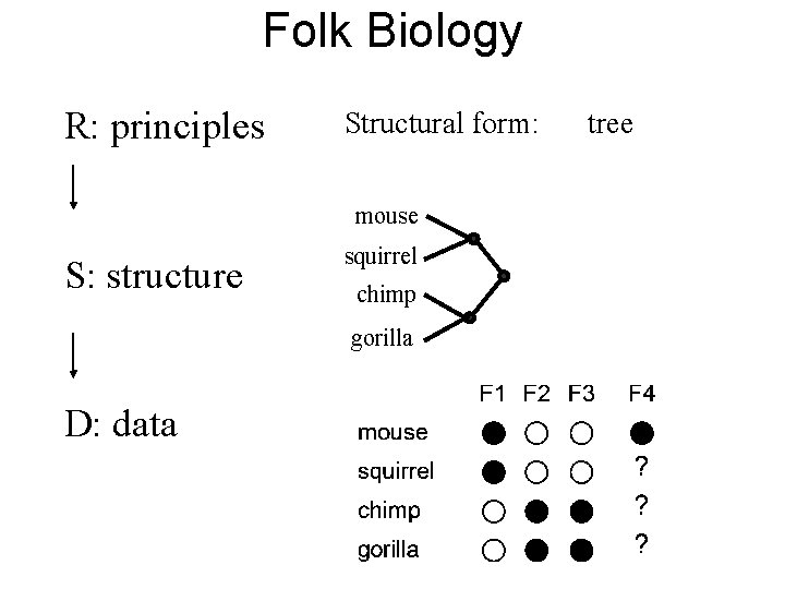 Folk Biology R: principles Structural form: mouse S: structure squirrel chimp gorilla D: data