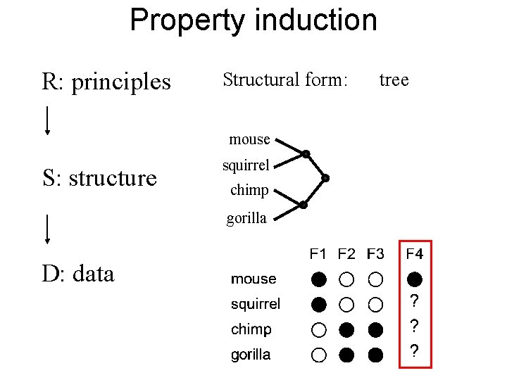 Property induction R: principles Structural form: mouse S: structure squirrel chimp gorilla D: data