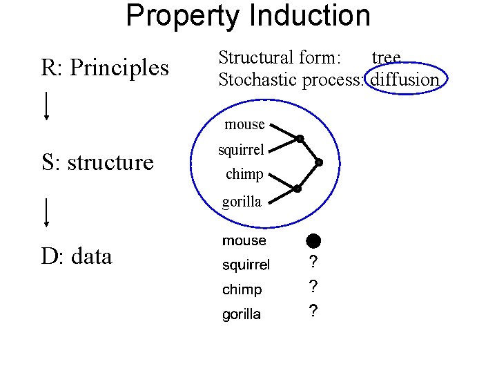 Property Induction R: Principles Structural form: tree Stochastic process: diffusion mouse S: structure squirrel