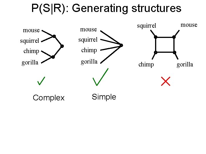 P(S|R): Generating structures mouse squirrel chimp gorilla Complex Simple squirrel chimp mouse gorilla 