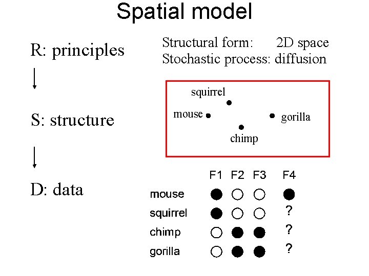 Spatial model R: principles Structural form: 2 D space Stochastic process: diffusion squirrel S: