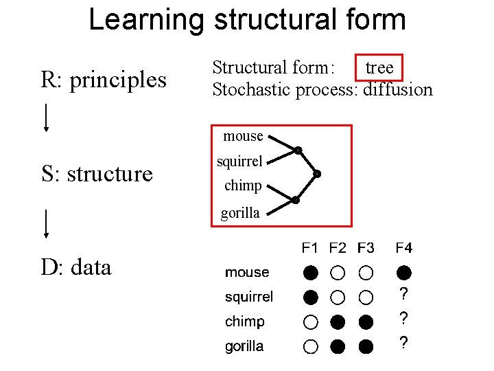 Learning structural form R: principles Structural form: tree Stochastic process: diffusion mouse S: structure