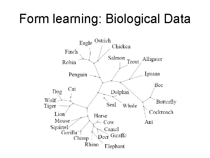 Form learning: Biological Data 
