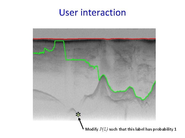 User interaction ** Modify P(L) such that this label has probability 1 