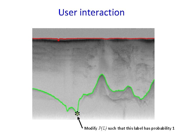 User interaction ** Modify P(L) such that this label has probability 1 