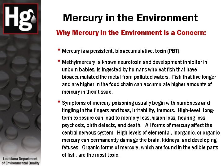 Mercury in the Environment Why Mercury in the Environment is a Concern: • Mercury