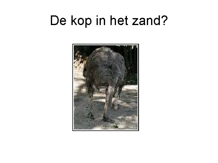 De kop in het zand? 