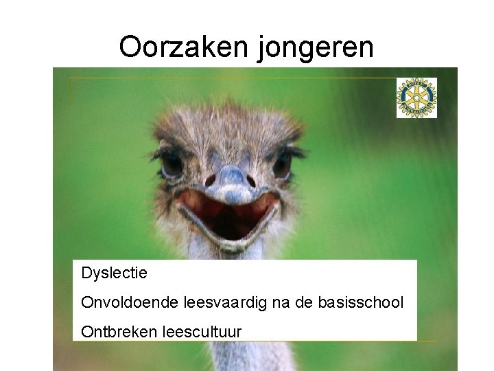 Oorzaken jongeren Dyslectie Onvoldoende leesvaardig na de basisschool Ontbreken leescultuur 