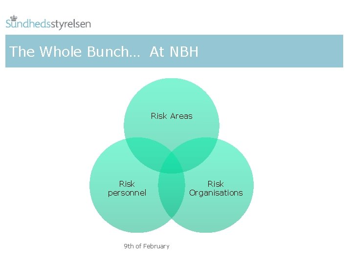 The Whole Bunch… At NBH Risk Areas Risk personnel 9 th of February Risk