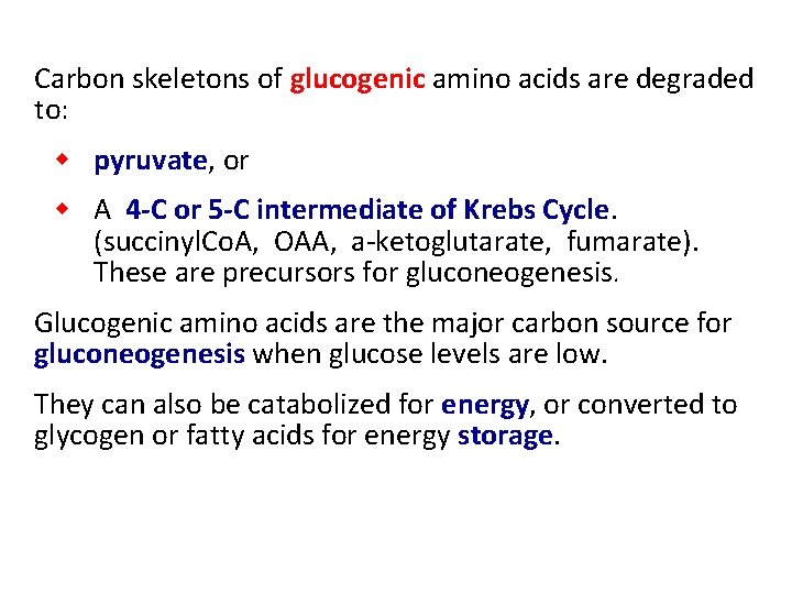 Carbon skeletons of glucogenic amino acids are degraded to: w pyruvate, or w A