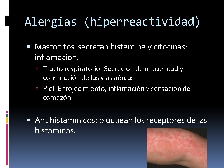 Alergias (hiperreactividad) Mastocitos secretan histamina y citocinas: inflamación. Tracto respiratorio. Secreción de mucosidad y