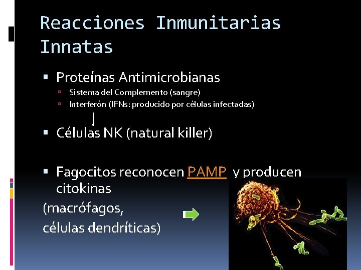 Reacciones Inmunitarias Innatas Proteínas Antimicrobianas Sistema del Complemento (sangre) Interferón (IFNs: producido por células