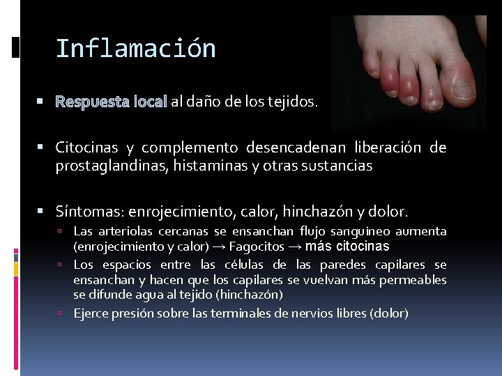 Inflamación Respuesta local al daño de los tejidos. Citocinas y complemento desencadenan liberación de