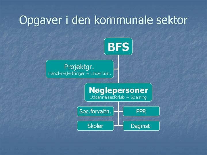 Opgaver i den kommunale sektor BFS Projektgr. Handlevejledninger + Undervisn. Nøglepersoner Uddannelsesforløb + Sparring