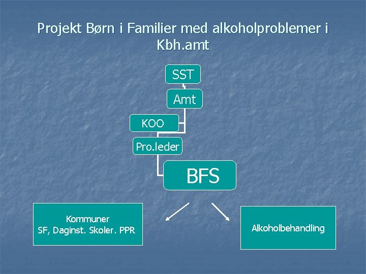 Projekt Børn i Familier med alkoholproblemer i Kbh. amt SST Amt KOO Pro. leder