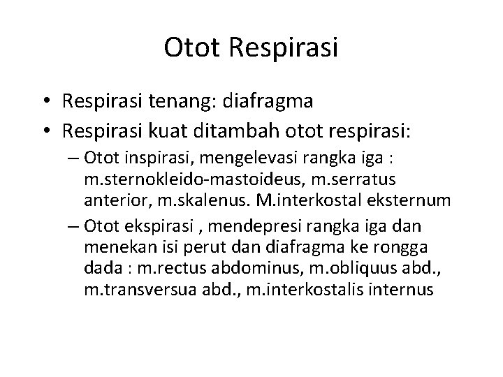 Otot Respirasi • Respirasi tenang: diafragma • Respirasi kuat ditambah otot respirasi: – Otot