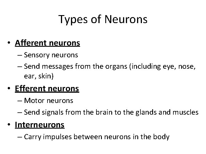 Types of Neurons • Afferent neurons – Sensory neurons – Send messages from the