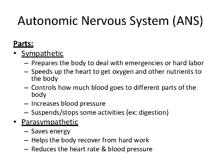 Autonomic Nervous System (ANS) Parts: • Sympathetic – Prepares the body to deal with