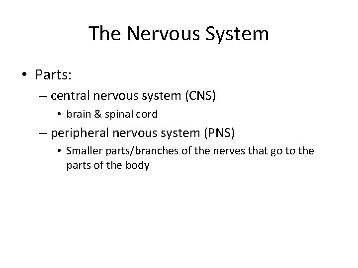 The Nervous System • Parts: – central nervous system (CNS) • brain & spinal