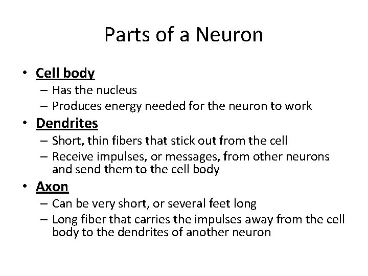 Parts of a Neuron • Cell body – Has the nucleus – Produces energy