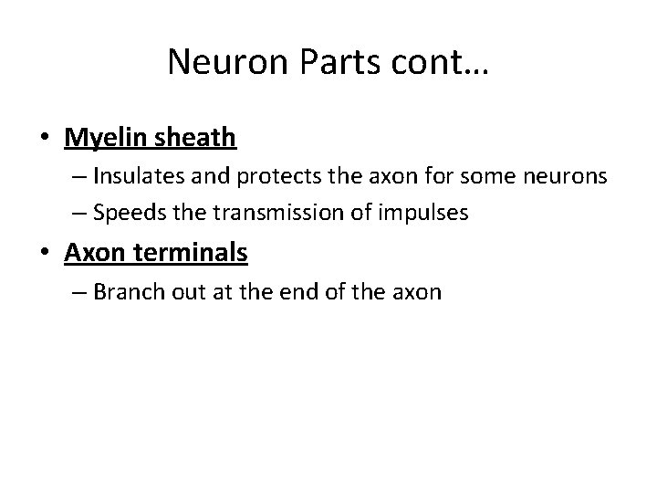 Neuron Parts cont… • Myelin sheath – Insulates and protects the axon for some
