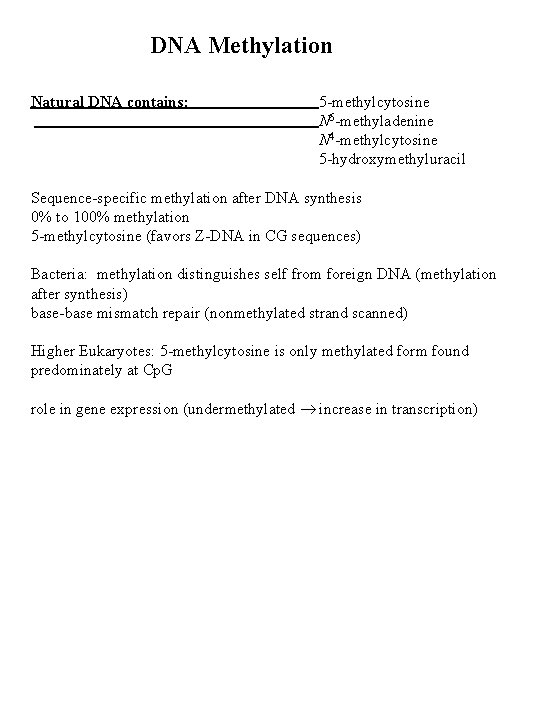 DNA Methylation Natural DNA contains: 5 -methylcytosine N 6 -methyladenine N 4 -methylcytosine 5