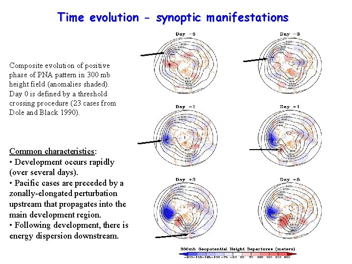 Time evolution - synoptic manifestations _ Composite evolution of positive phase of PNA pattern