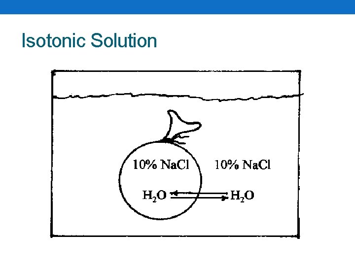 Isotonic Solution 