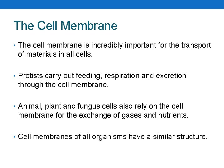 The Cell Membrane • The cell membrane is incredibly important for the transport of