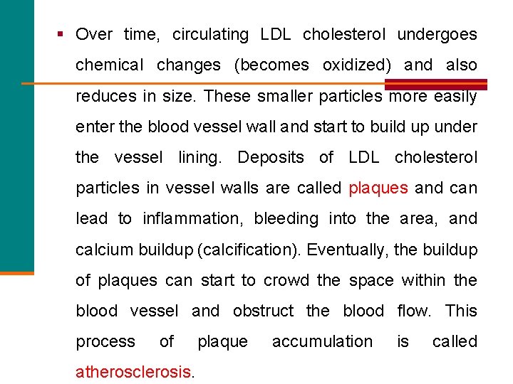 § Over time, circulating LDL cholesterol undergoes chemical changes (becomes oxidized) and also reduces