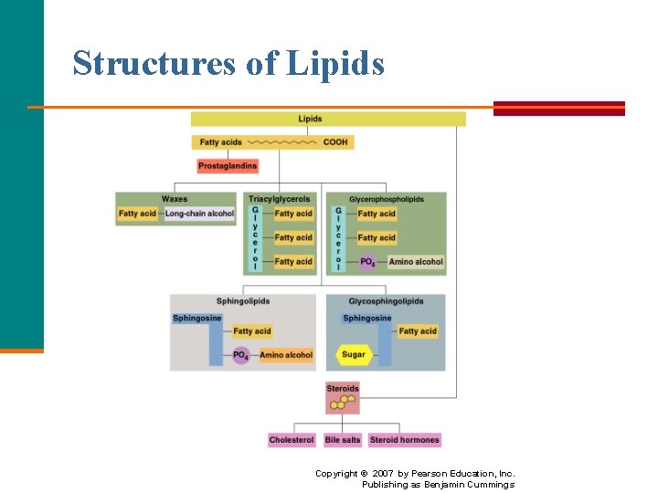 Structures of Lipids Copyright © 2007 by Pearson Education, Inc. Publishing as Benjamin Cummings