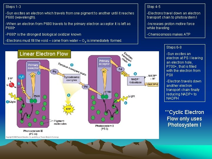 Steps 1 -3 Step 4 -5 -Sun excites an electron which travels from one