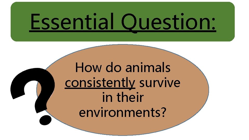 Essential Question: How do animals consistently survive in their environments? 