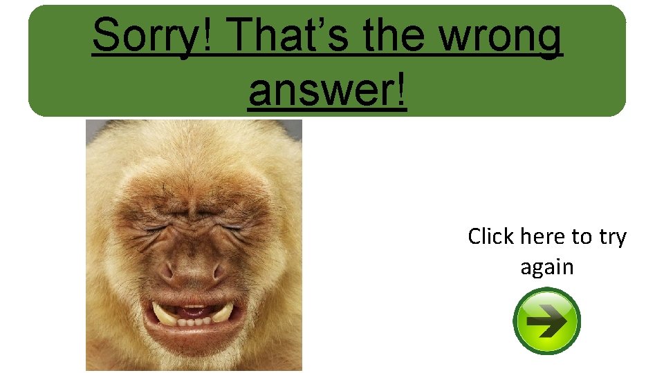 Sorry! That’s the wrong answer! Click here to try again 