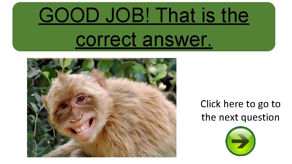 GOOD JOB! That is the correct answer. Click here to go to the next