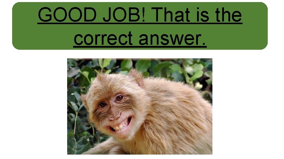 GOOD JOB! That is the correct answer. 