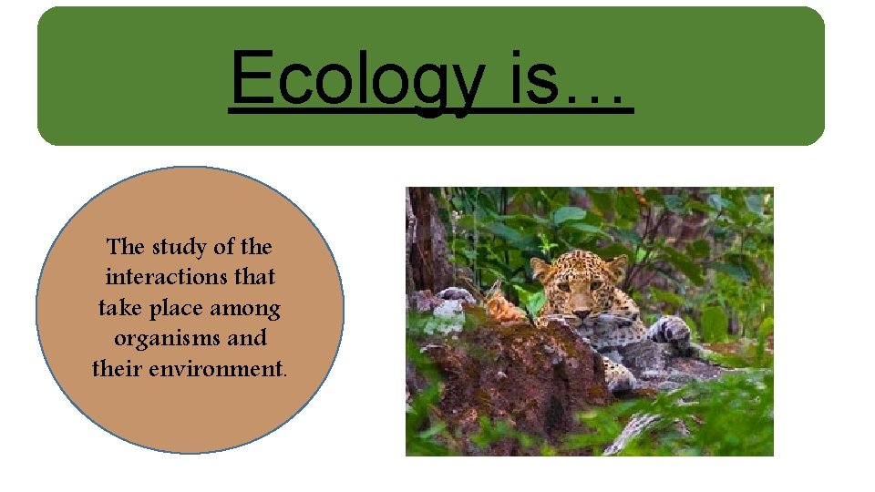 Ecology is… The study of the interactions that take place among organisms and their