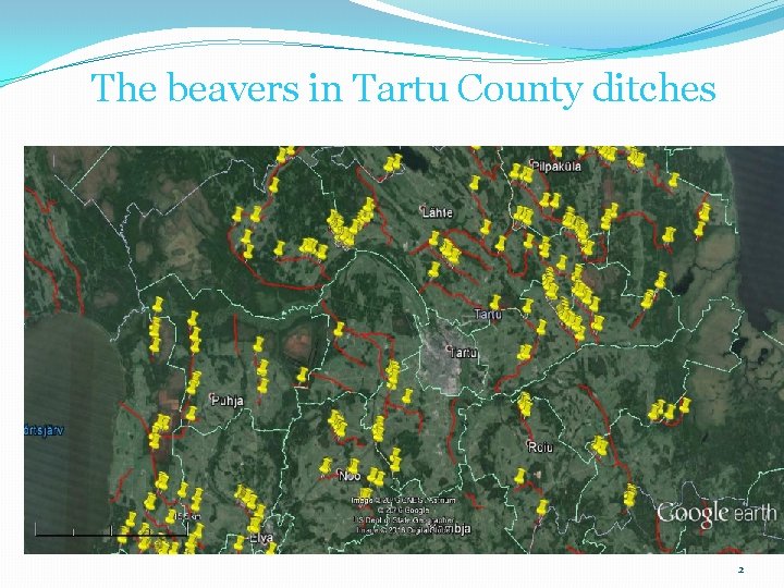The beavers in Tartu County ditches 2 