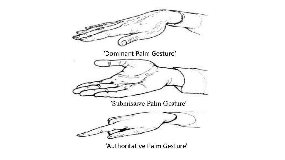 'Dominant Palm Gesture' 'Submissive Palm Gesture' 'Authoritative Palm Gesture' 