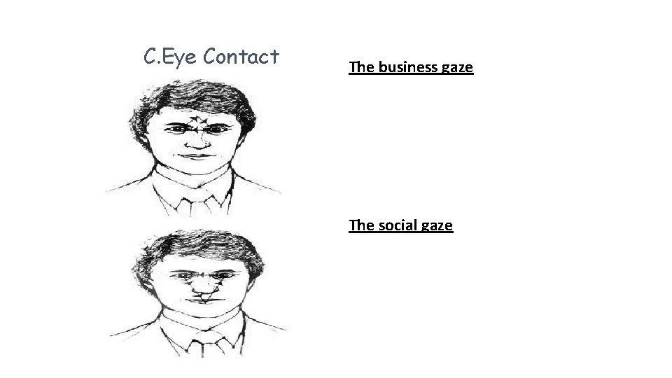 C. Eye Contact The business gaze The social gaze 