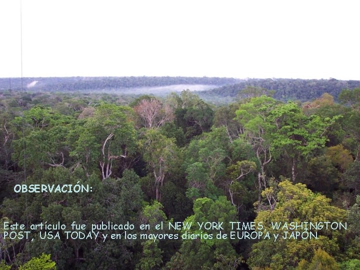 OBSERVACIÓN: Este artículo fue publicado en el NEW YORK TIMES, WASHINGTON POST, USA TODAY