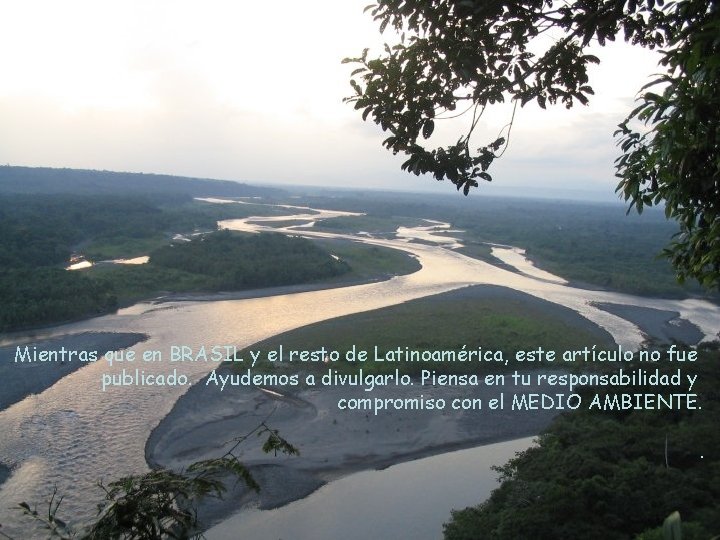 Mientras que en BRASIL y el resto de Latinoamérica, este artículo no fue publicado.