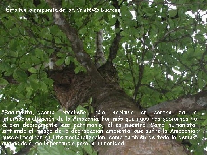 Ésta fue la respuesta del Sr. Cristóvão Buarque "Realmente, como brasileño, sólo hablaría en