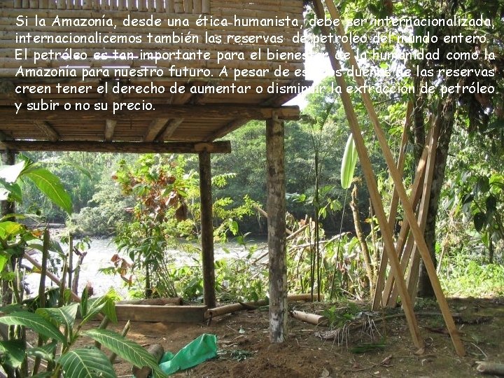 Si la Amazonía, desde una ética humanista, debe ser internacionalizada, internacionalicemos también las reservas