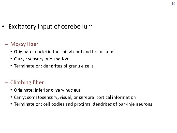 10 • Excitatory input of cerebellum – Mossy fiber • Originate: nuclei in the