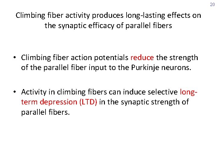 20 Climbing fiber activity produces long-lasting effects on the synaptic efficacy of parallel fibers