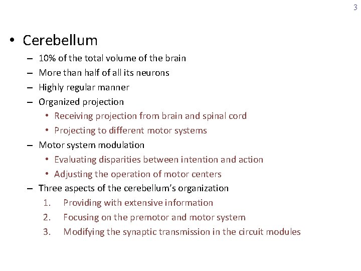 3 • Cerebellum 10% of the total volume of the brain More than half