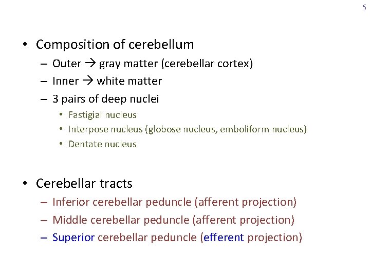 5 • Composition of cerebellum – Outer gray matter (cerebellar cortex) – Inner white